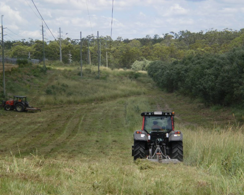 Vegetation management and tree management services in Queensland, Australia